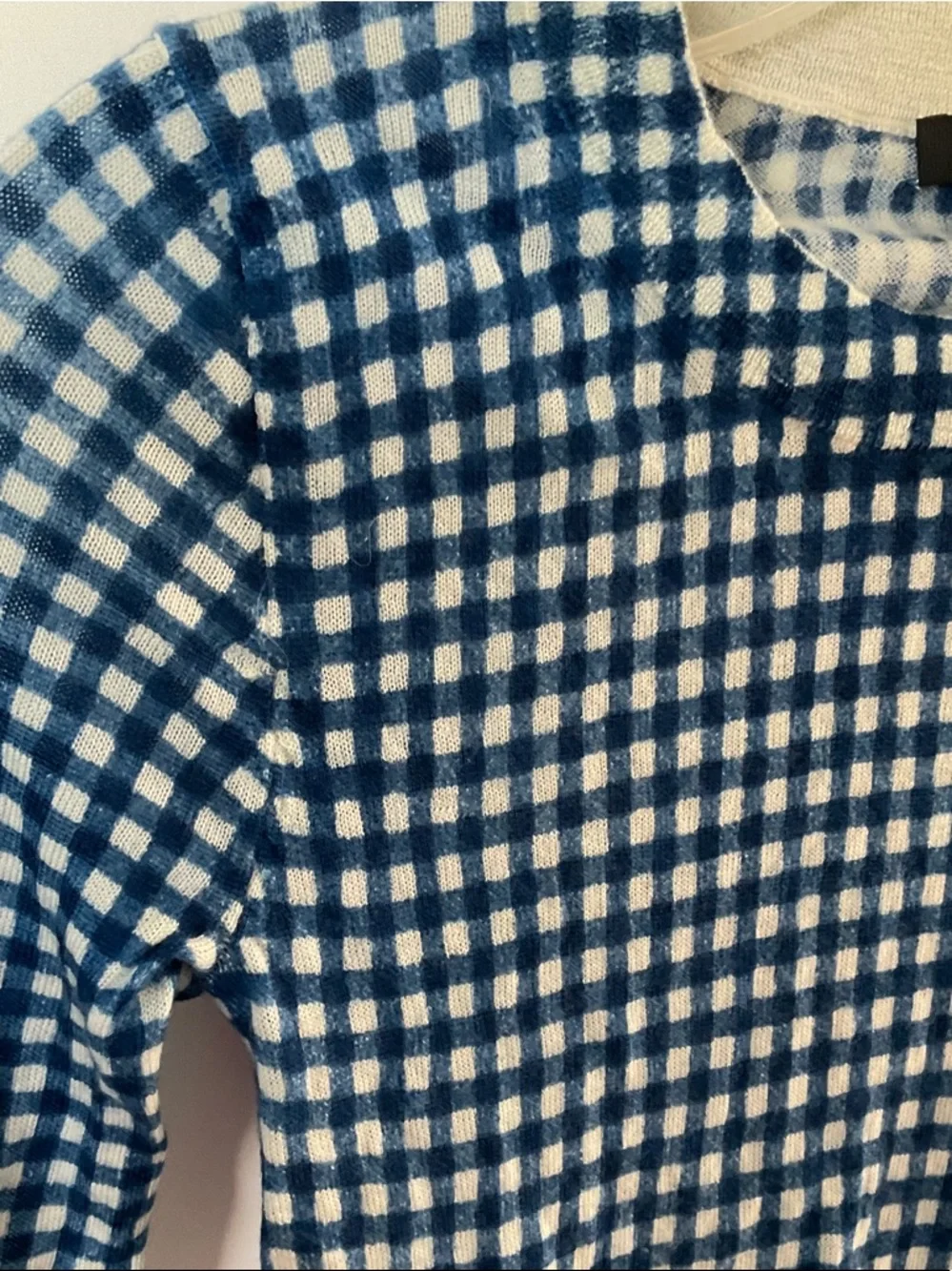 J. Crew Tippi Blue and White Gingham Crewneck Sweater